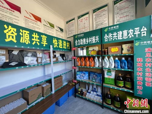 甘肅村級綜合便民服務站點實現全覆蓋 農特產加速 進城